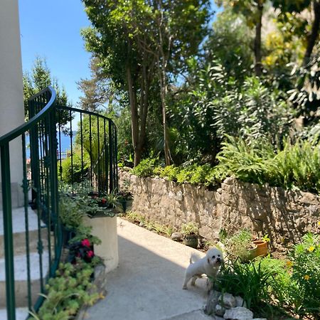 Apartments Milicevic Herceg Novi Esterno foto