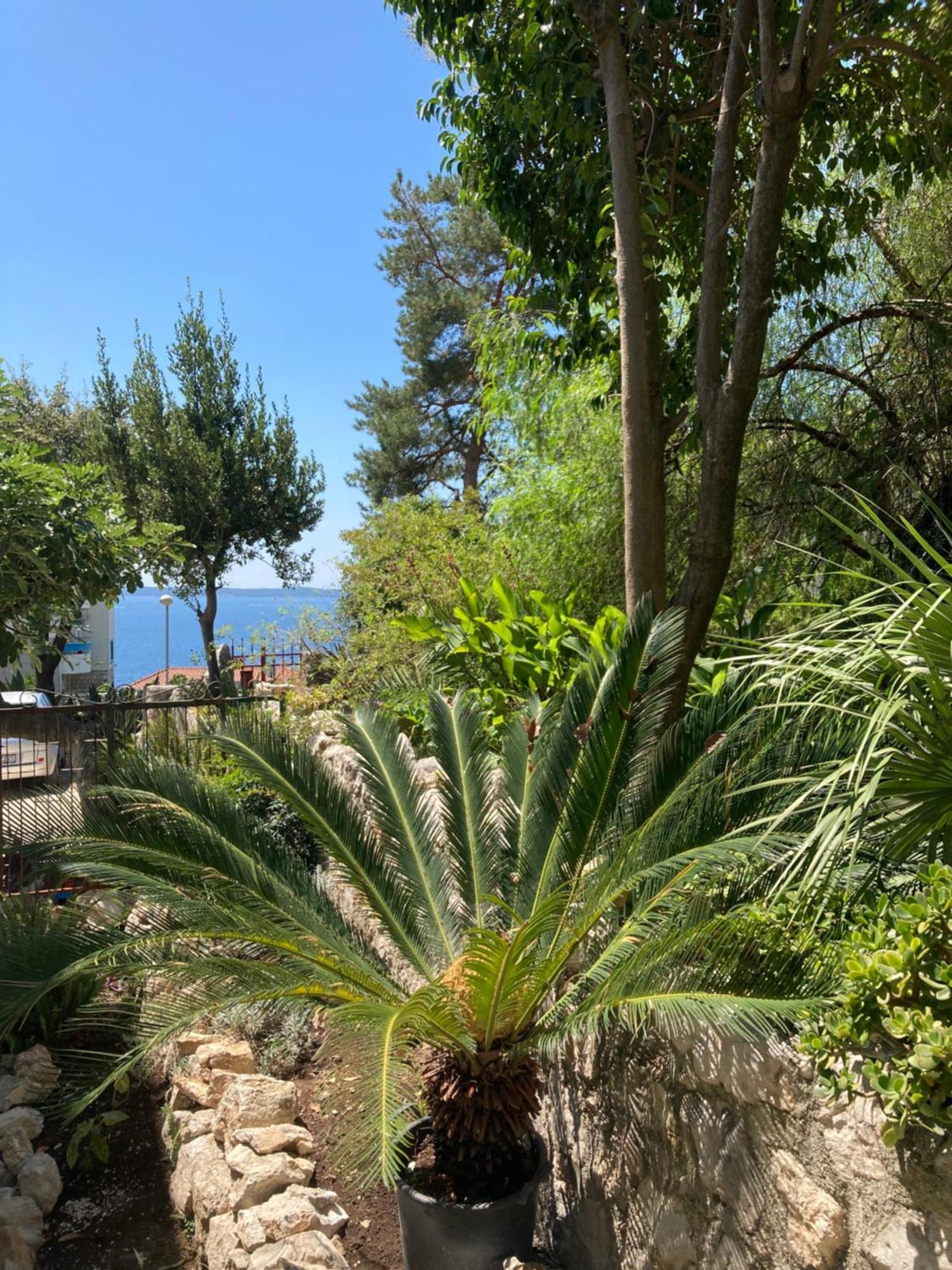 Apartments Milicevic Herceg Novi Esterno foto