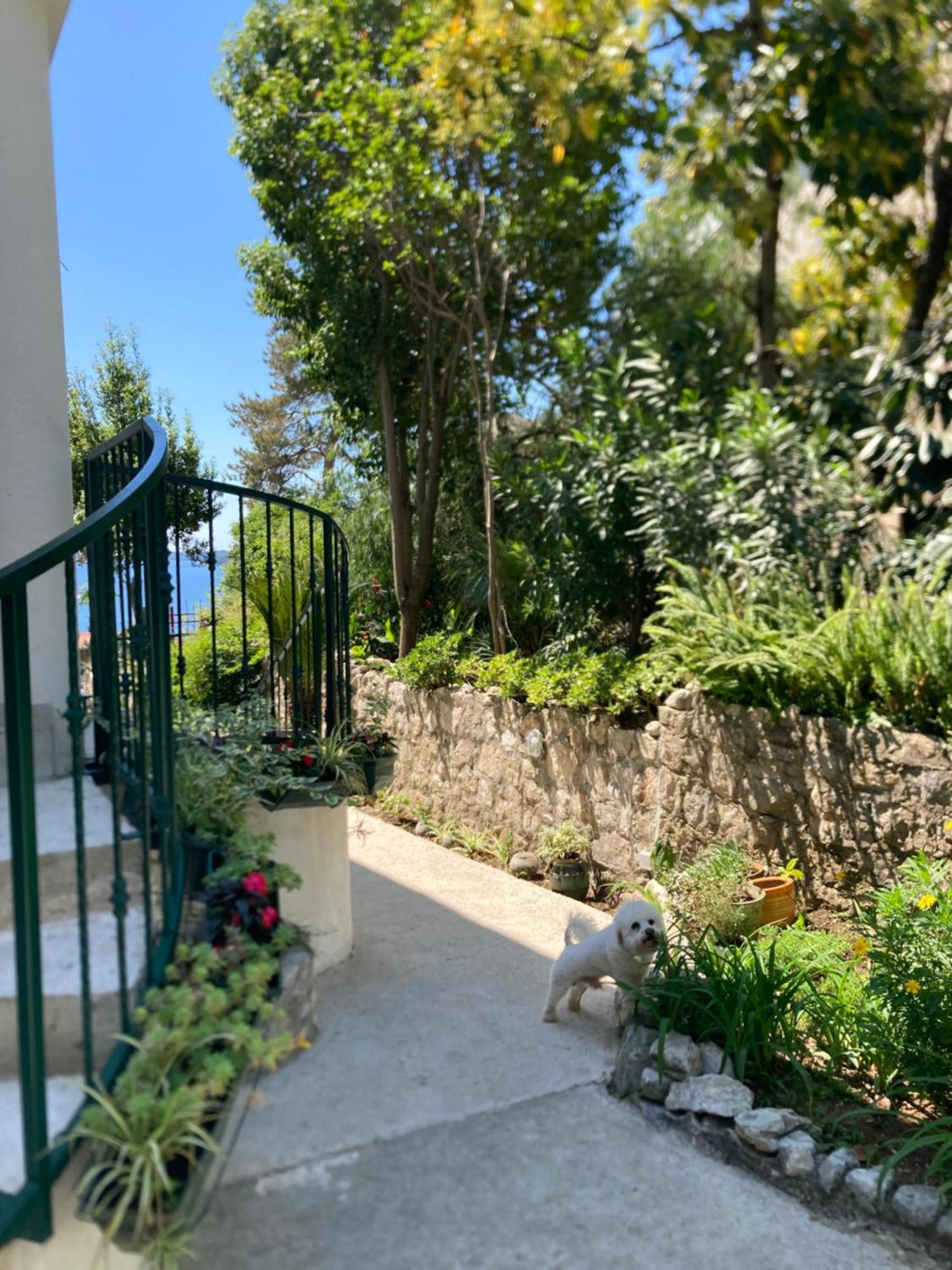 Apartments Milicevic Herceg Novi Esterno foto