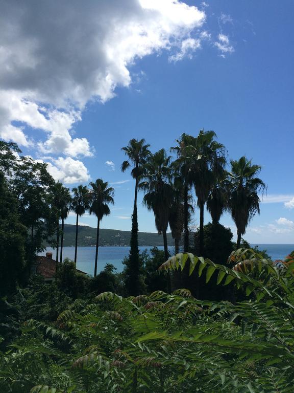 Apartments Milicevic Herceg Novi Esterno foto